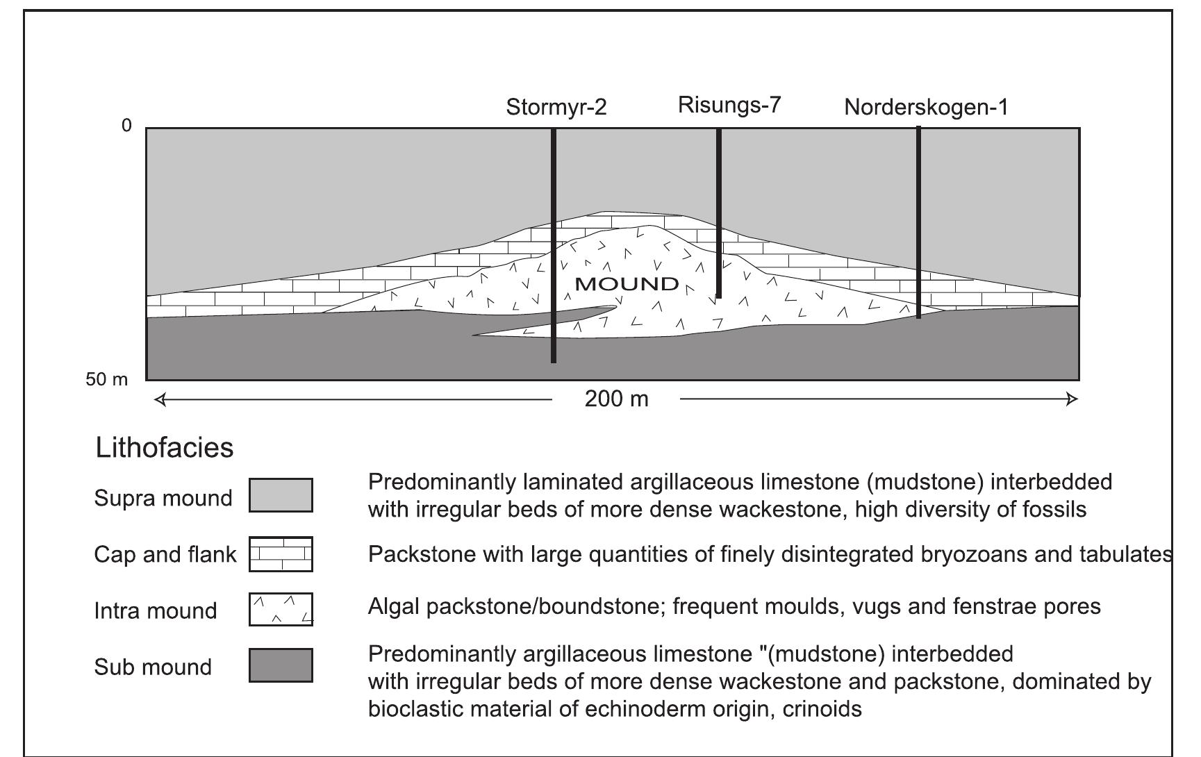 Schematic cross-section of a typical mound showing the main