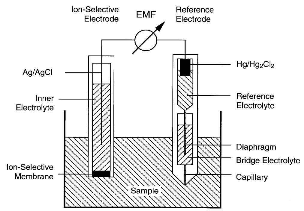 Schematic of a typical potentiometric measuring setup incor-
