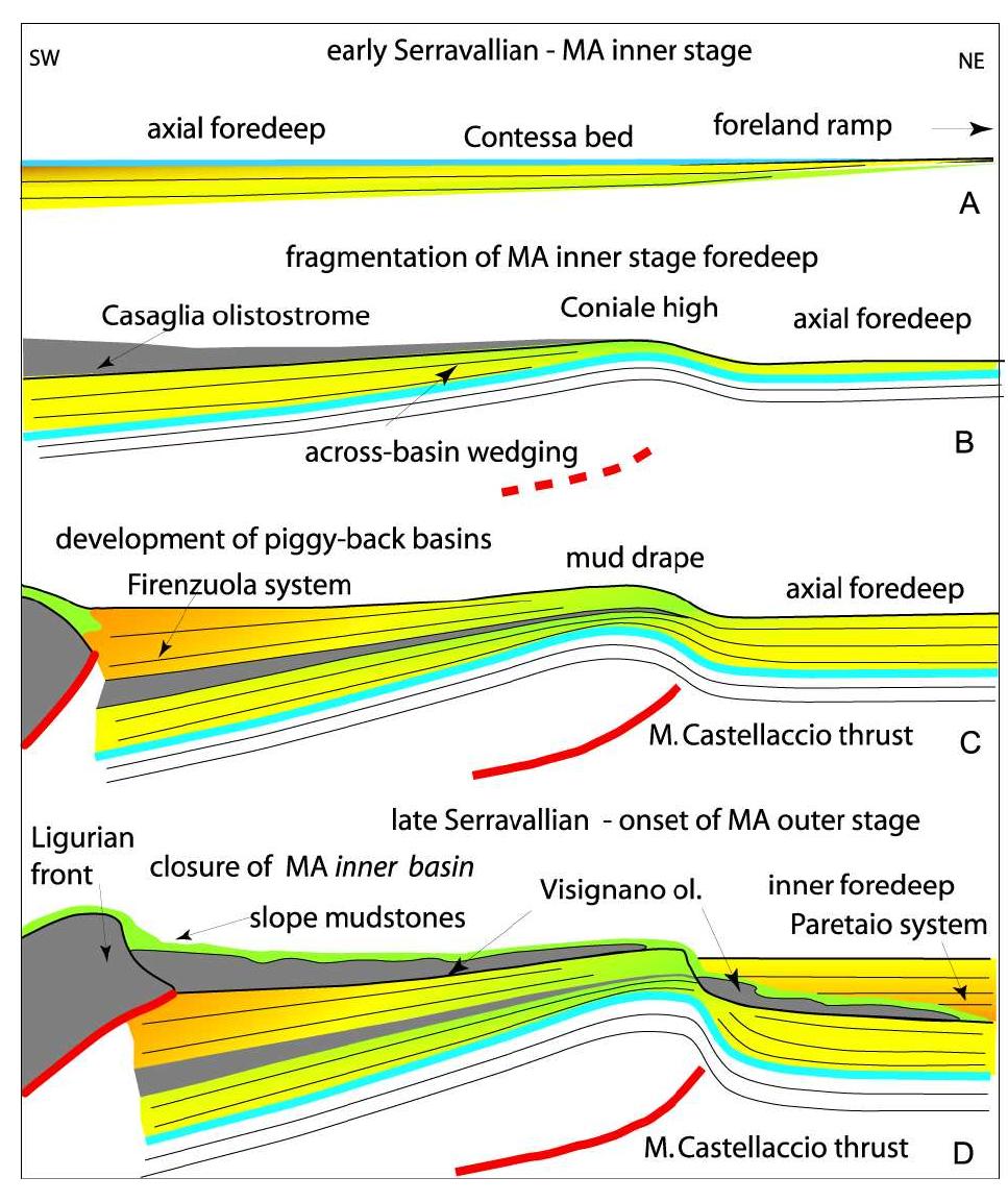13 — sketch showing the tectonic and sedimentary evolution