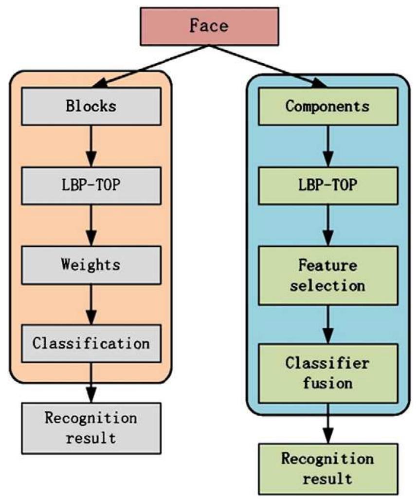 Block diagram for the proposed methods.