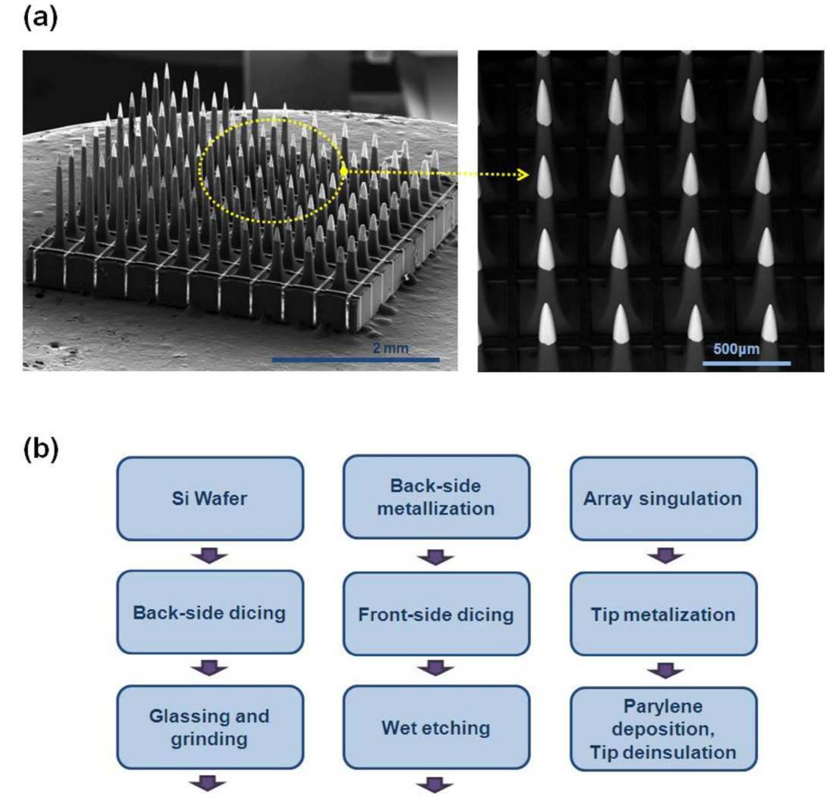 Figure 3 - from Excimer-laser deinsulation of Parylene-C