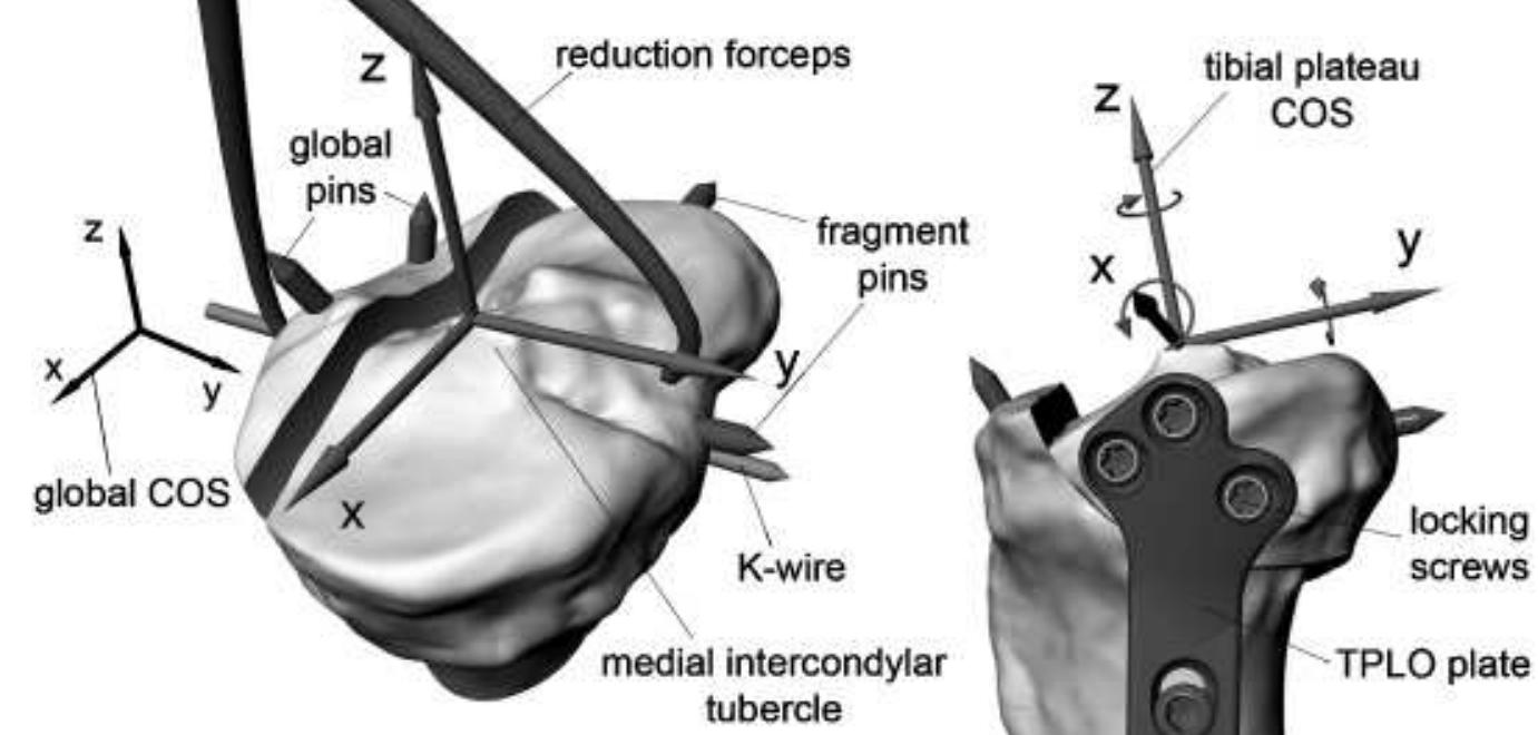Tplo Bone Rotation (PDF) Comparison of Locking and Conventional Screws for Maintenance of ...