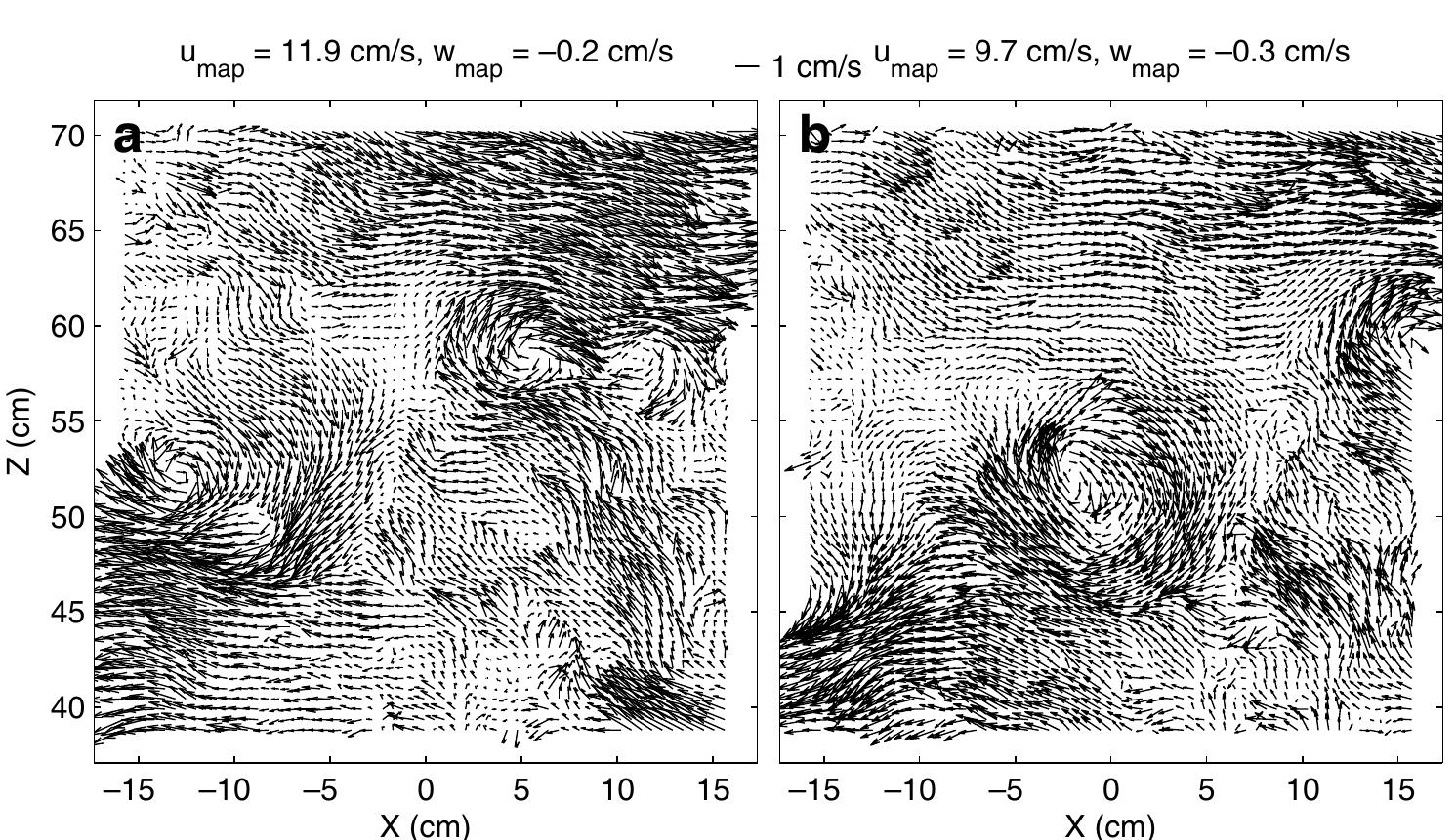 Two example velocity vector maps of the same sample area,