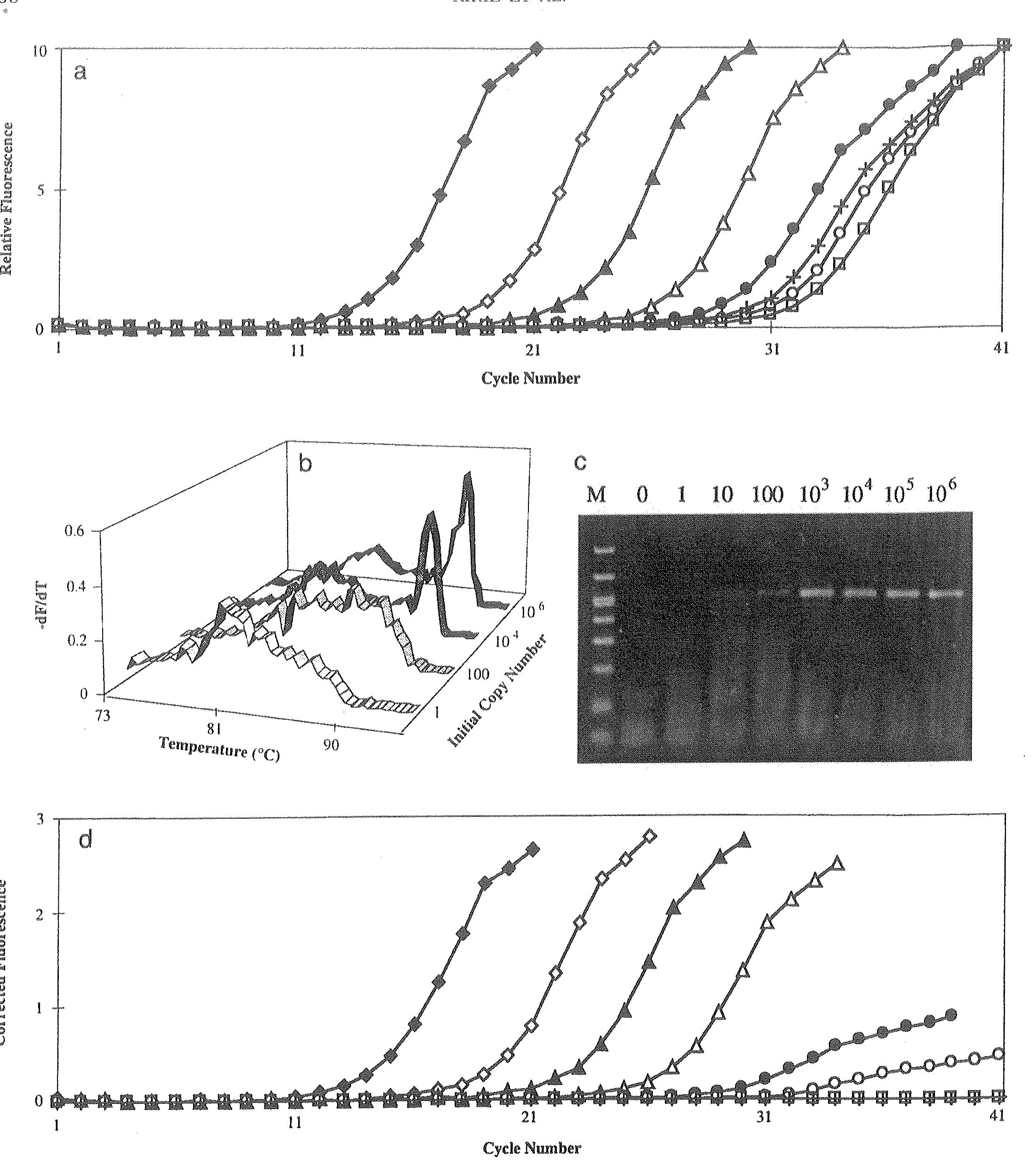 (PDF) Product Differentiation by Analysis of DNA Melting Curves during ...