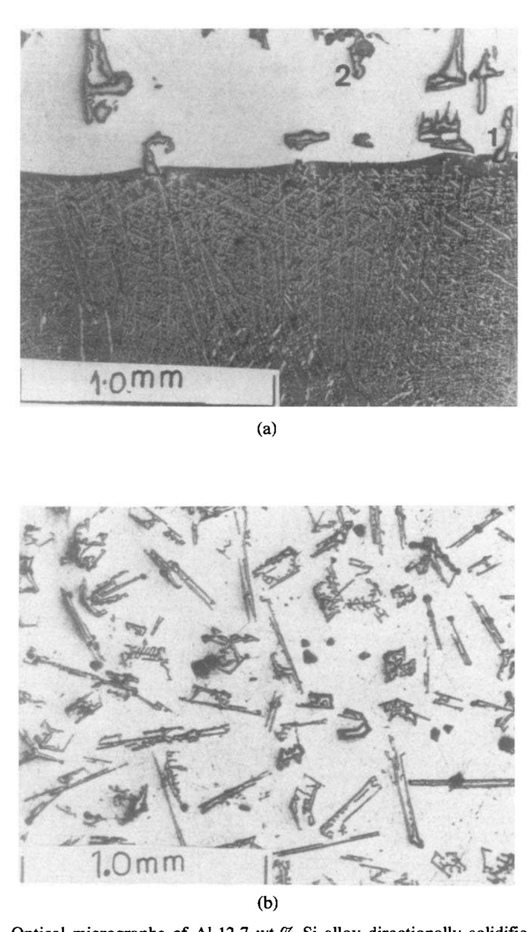 Figure 1 - Crystal morphology of massive eutectic silicon in