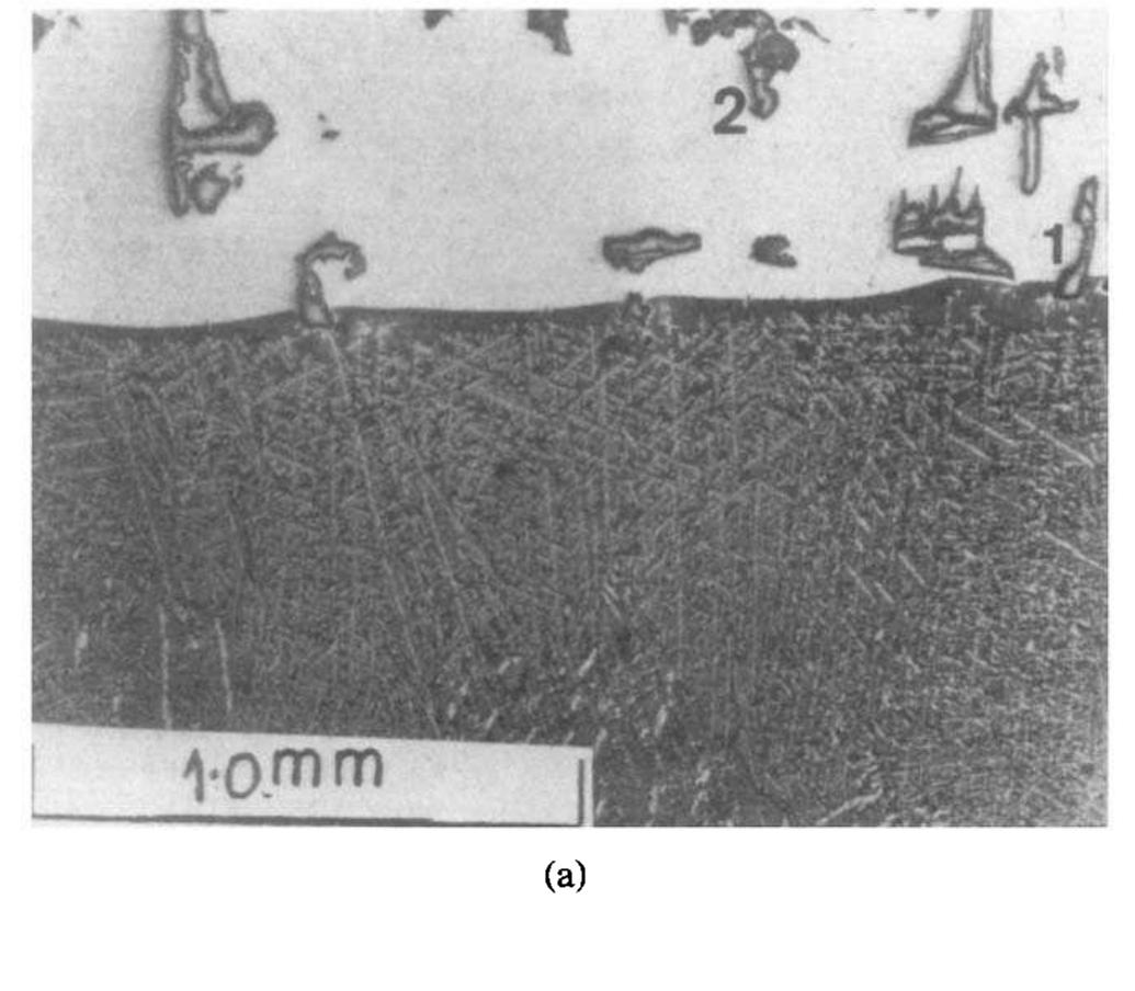 Figure 1 - Crystal morphology of massive eutectic silicon in
