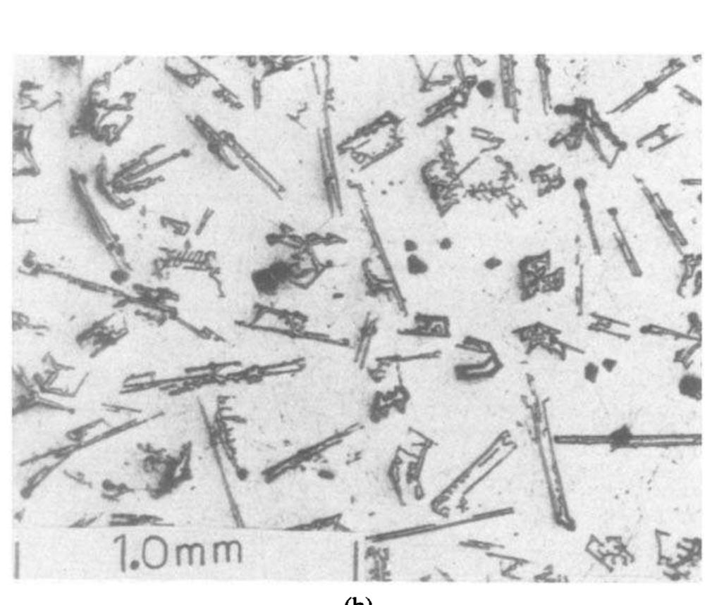 (PDF) Crystal morphology of massive eutectic silicon in unmodified Al ...
