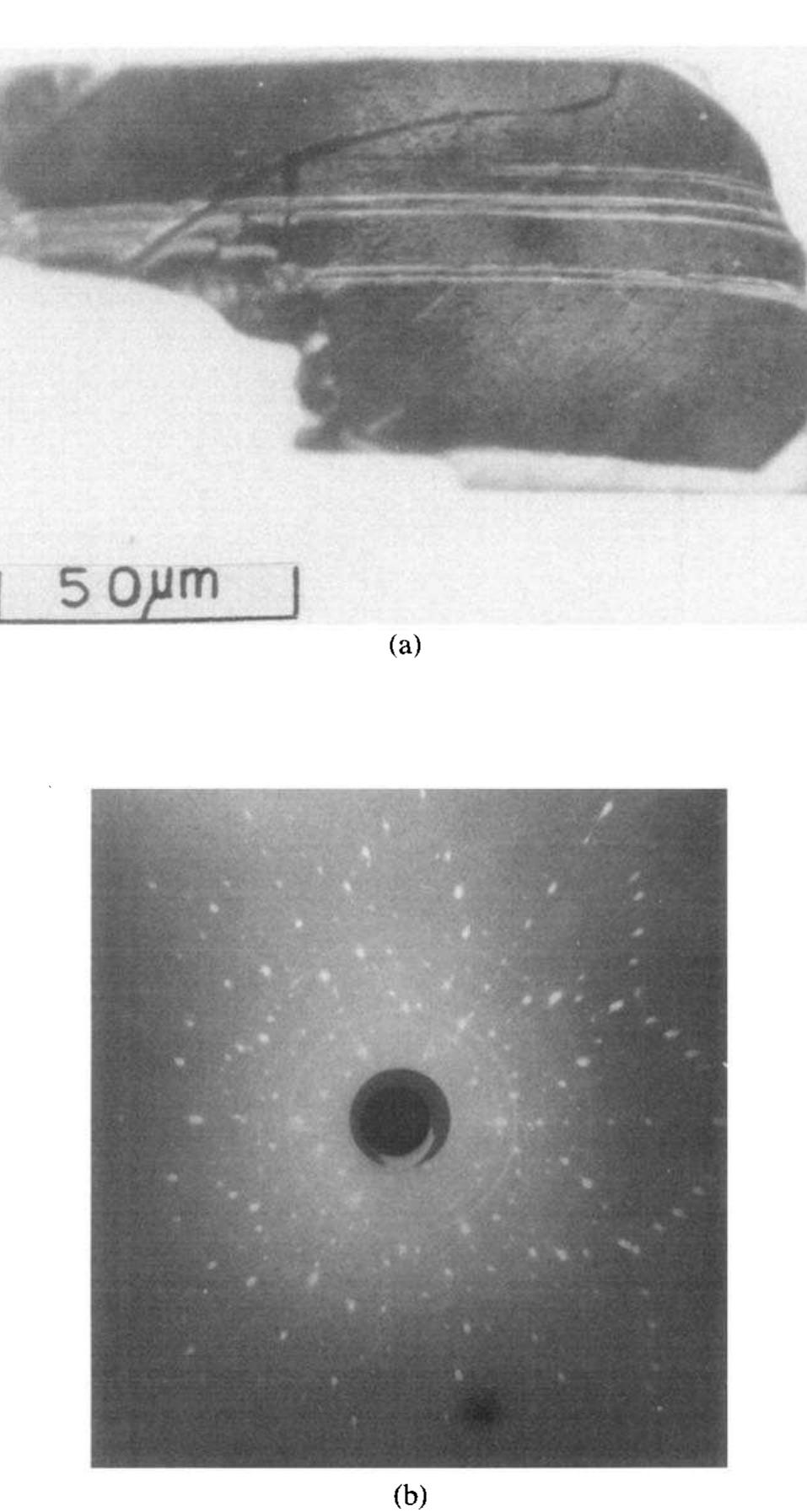 (PDF) Crystal morphology of massive eutectic silicon in unmodified Al ...