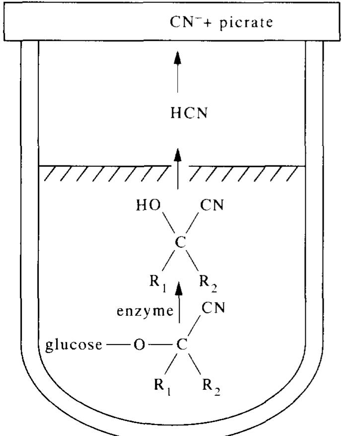 Assay fig. 1. diagrammatic representation of microdiffusion