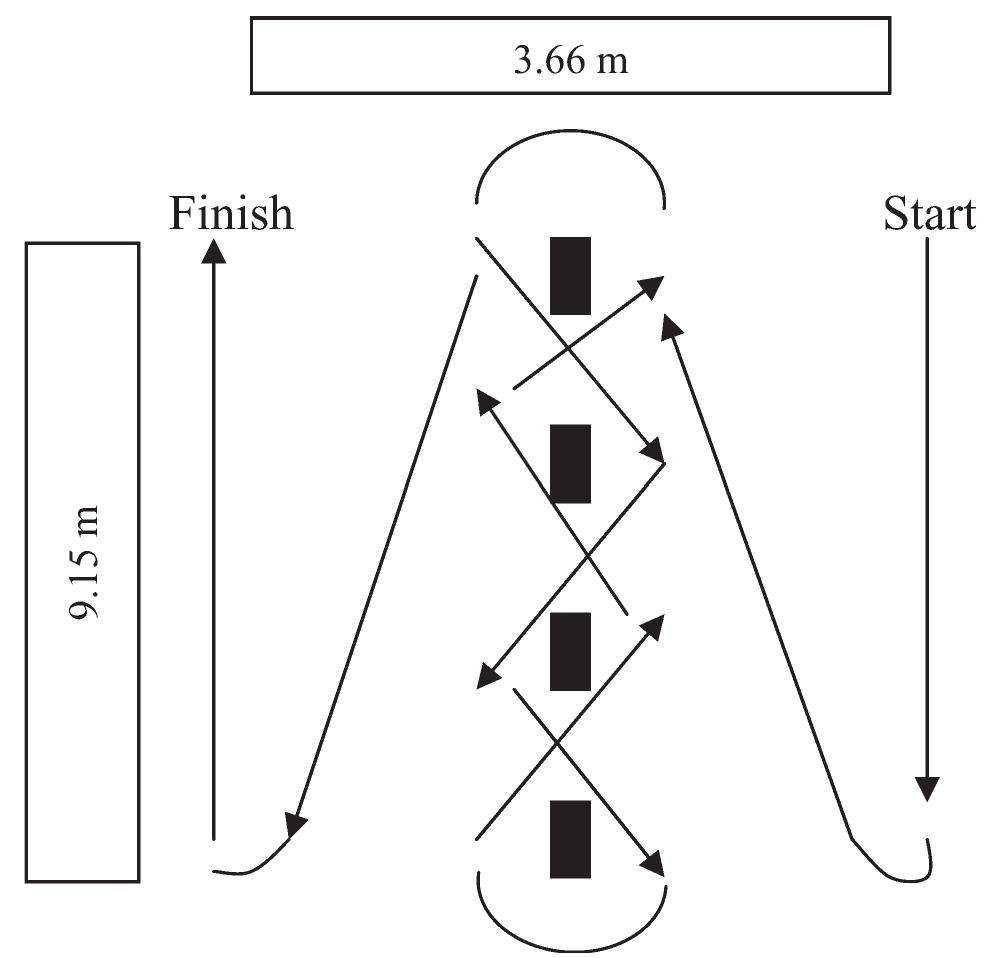 (PDF) Agility literature review: Classifications, training and testing