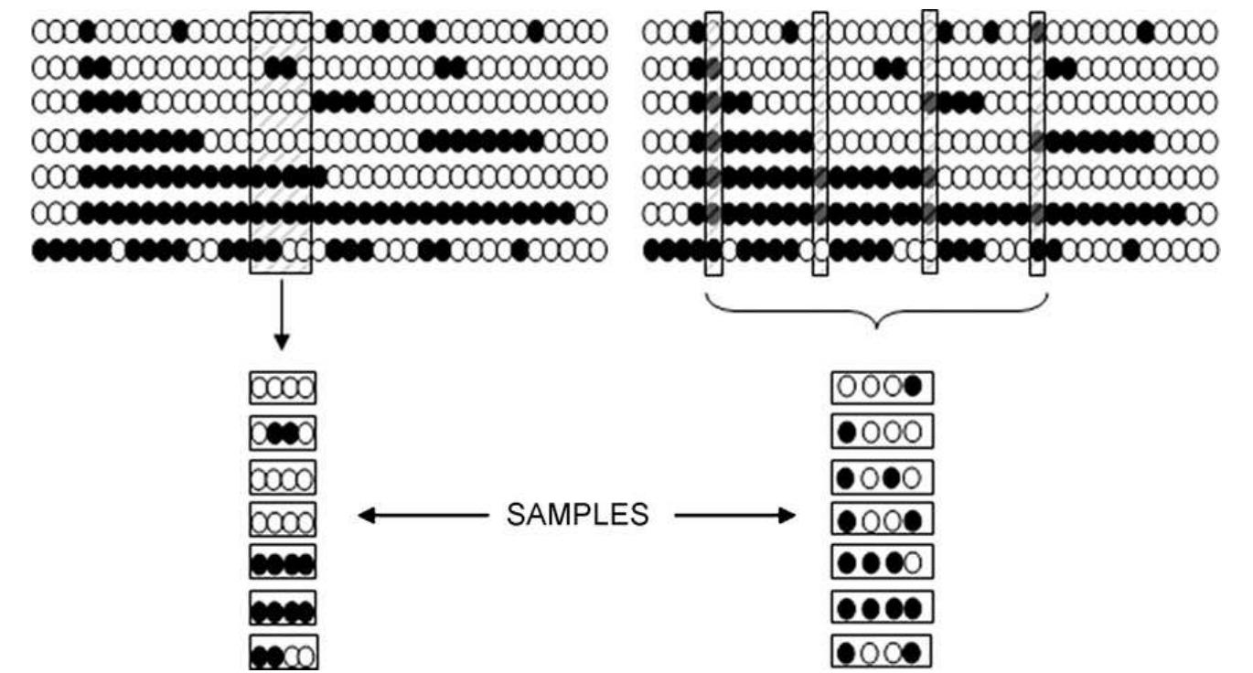String Sampling Definition of the three principal process sampling modes,