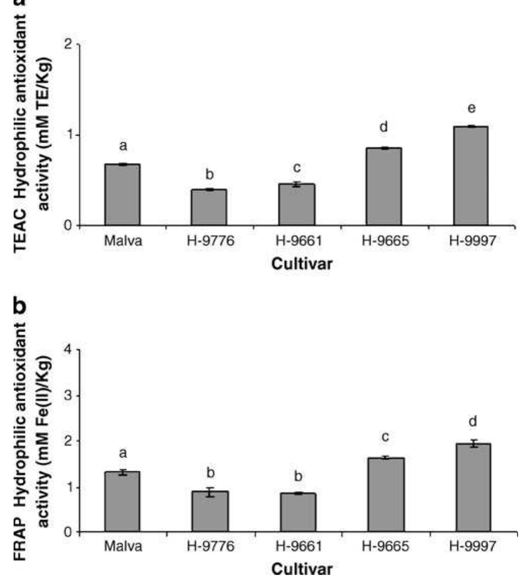 (PDF) Antioxidant Bioactive Compounds in Selected Industrial Processing ...