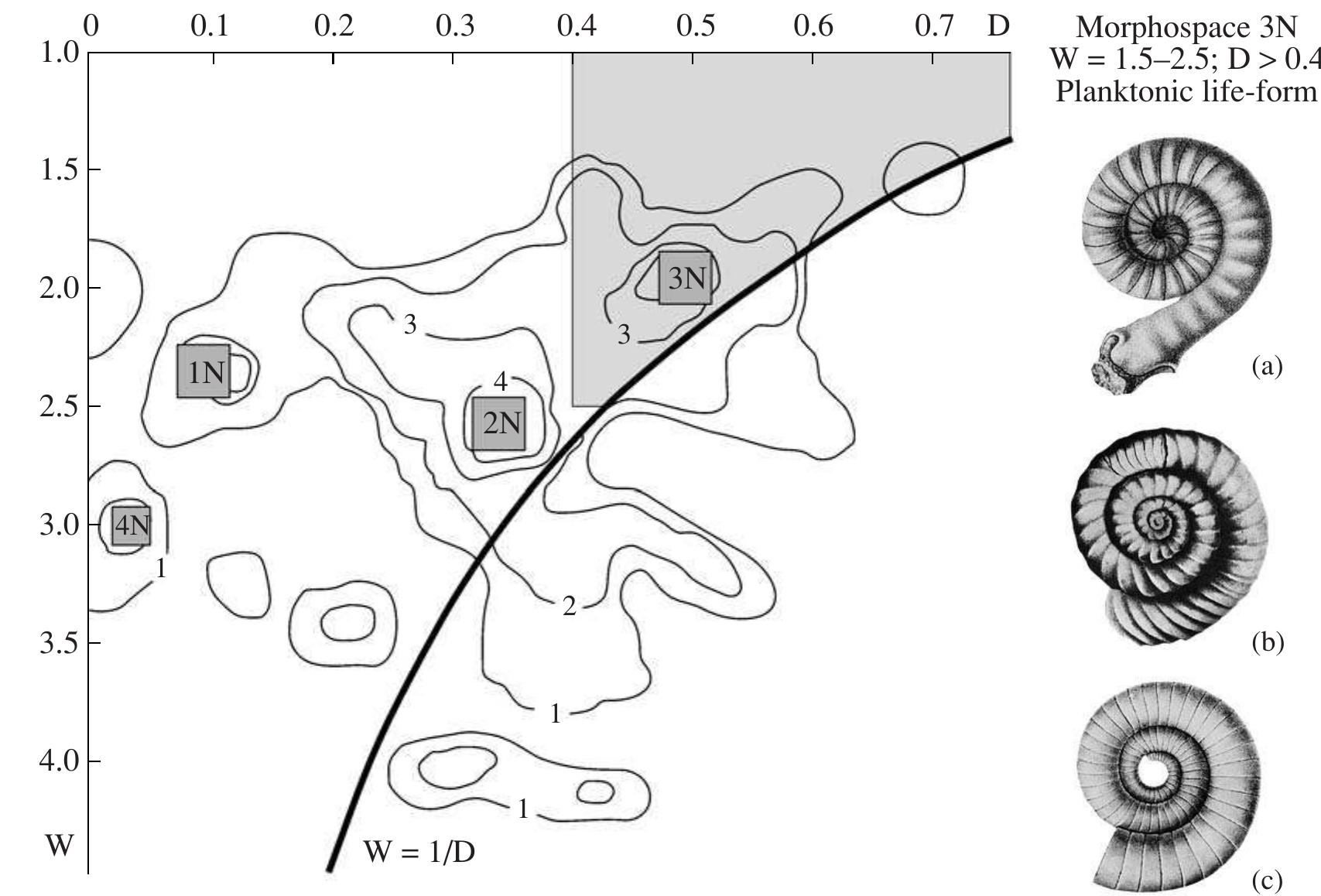 (PDF) Cephalopods in the marine ecosystems of the Paleozoic