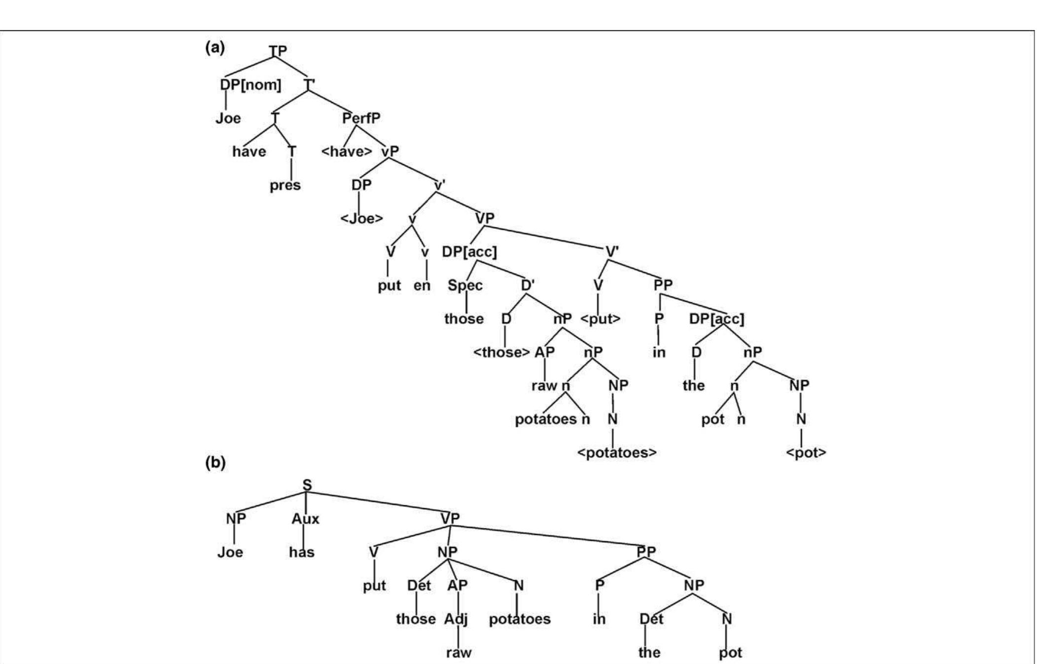 Figure 1. (a) A mainstream analysis of Joe has put those raw potatoes in the pot. Elements in brackets are unpronounced copies of elements elsewhere in the tree. (b) Simpler Syntax analysis of Joe has put those raw potatoes in the pot. 