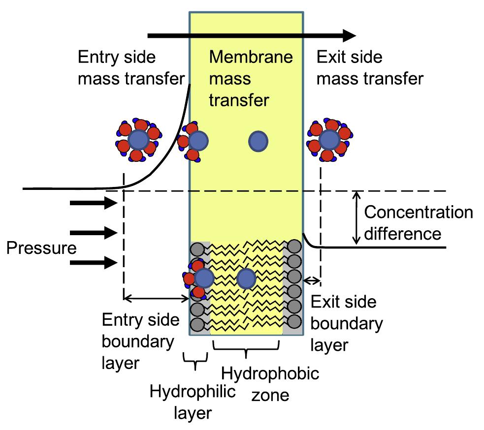 Figure 4 - from Significance of hydrated radius and
