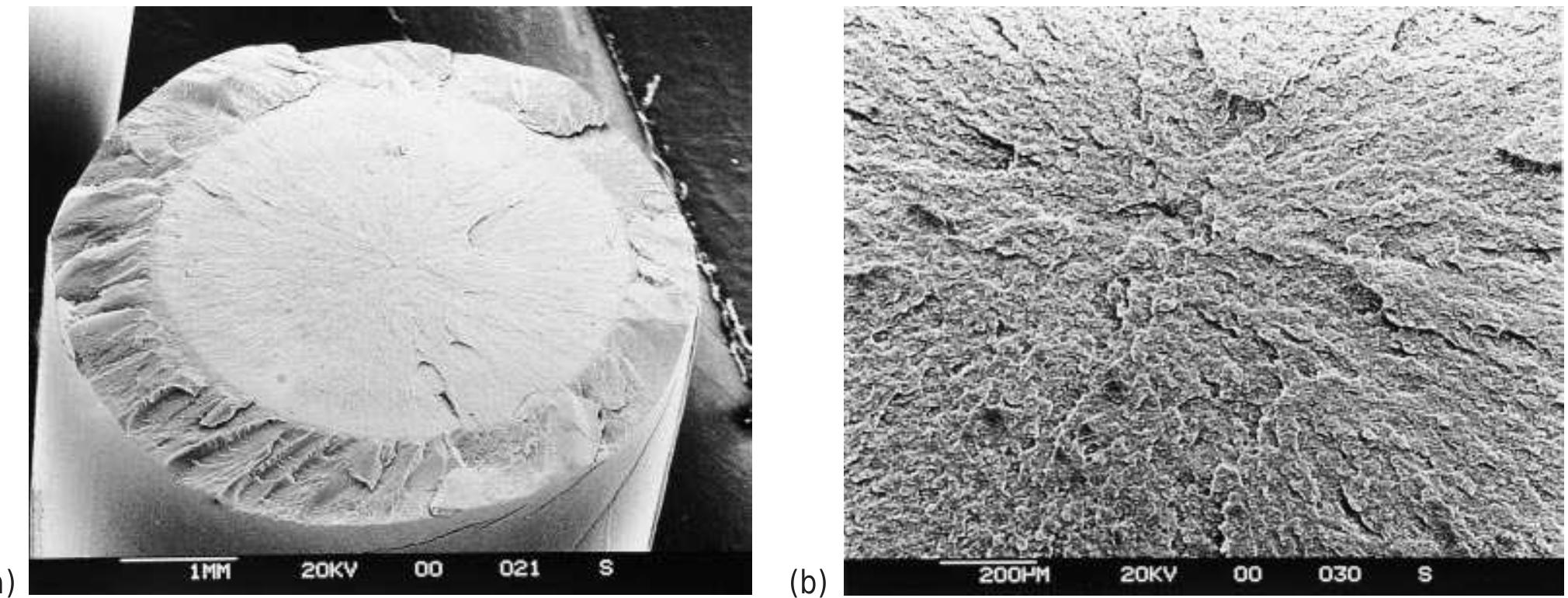 (a) sem micrograph of the tensile fracture surface of a #5