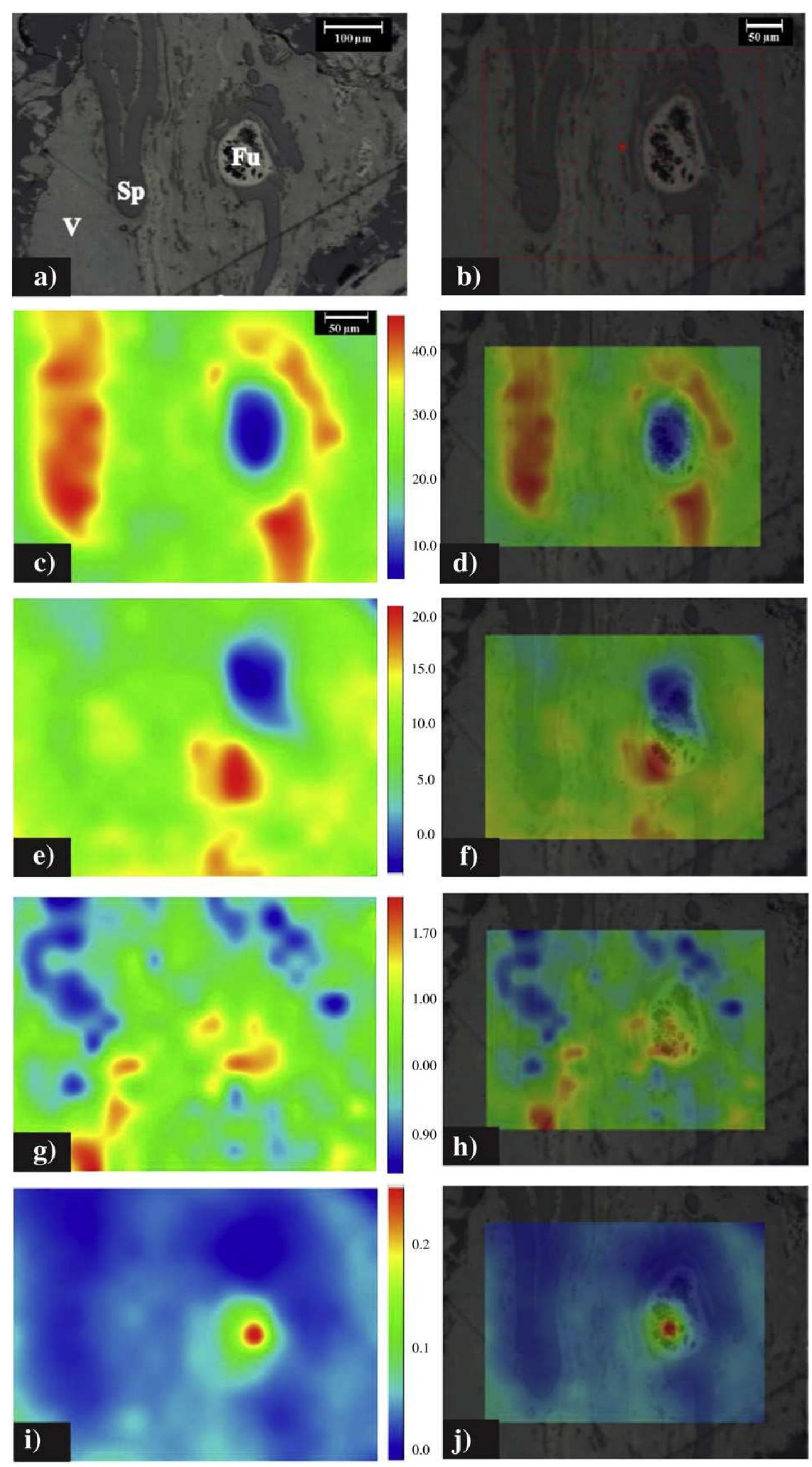 Chemical maps of an optically homogenous vitrinite. (a)