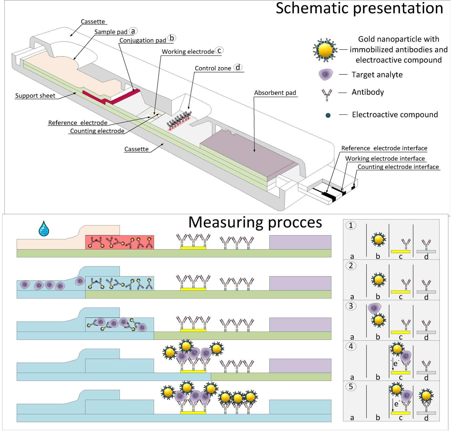 Figure 4 - from Lateral Flow Immunoassays - from Paper Strip
