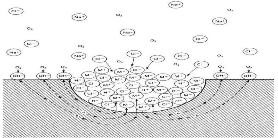 Chloride diffusion model in concrete [5]