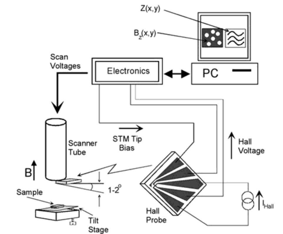 Micro Scan Direction Schematic diagram of room temperature scanning hall probe
