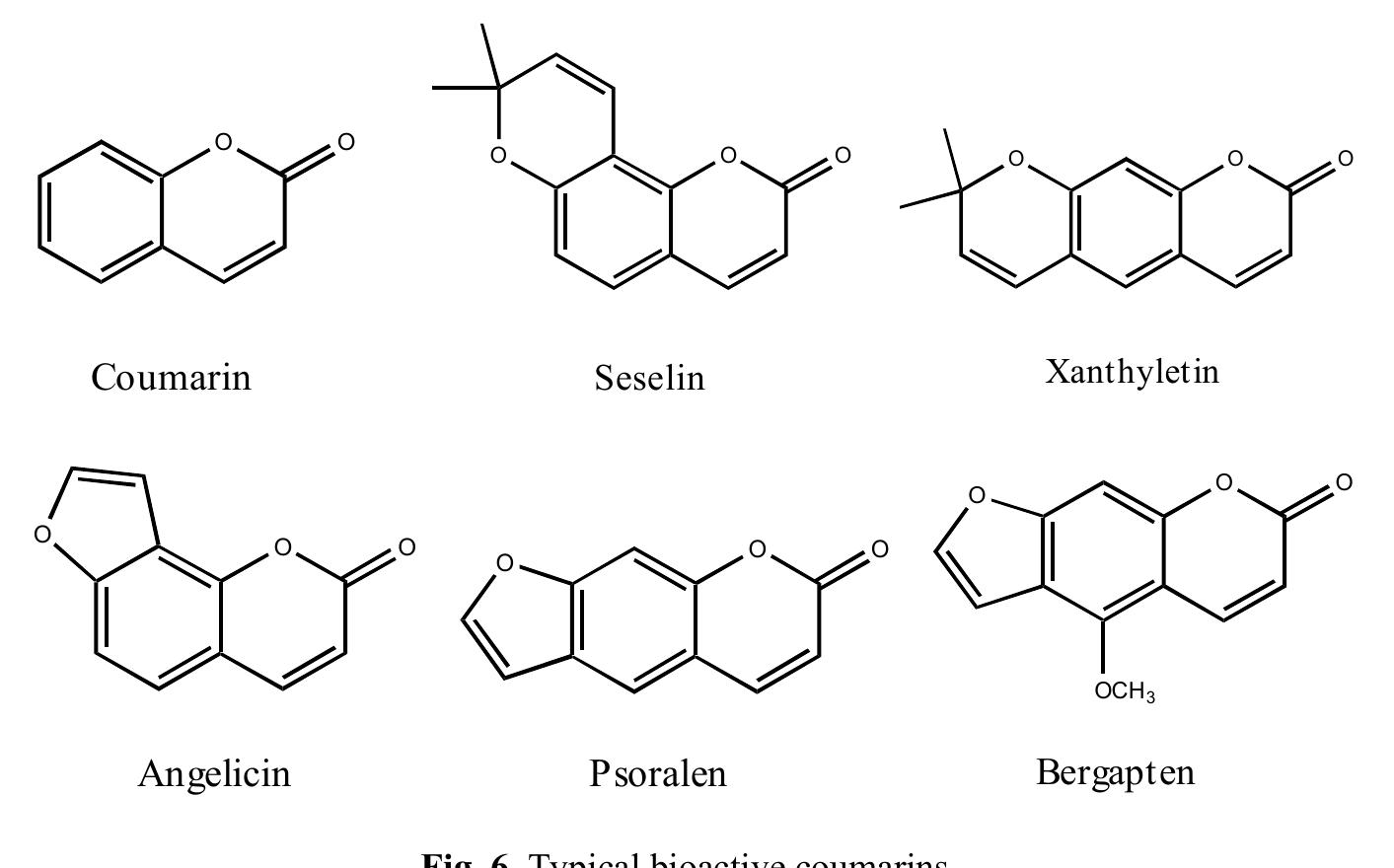 PDF) Allelopathy from a Mathematical Modeling Perspective