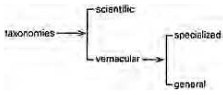 6: geographical taxonomy of climate