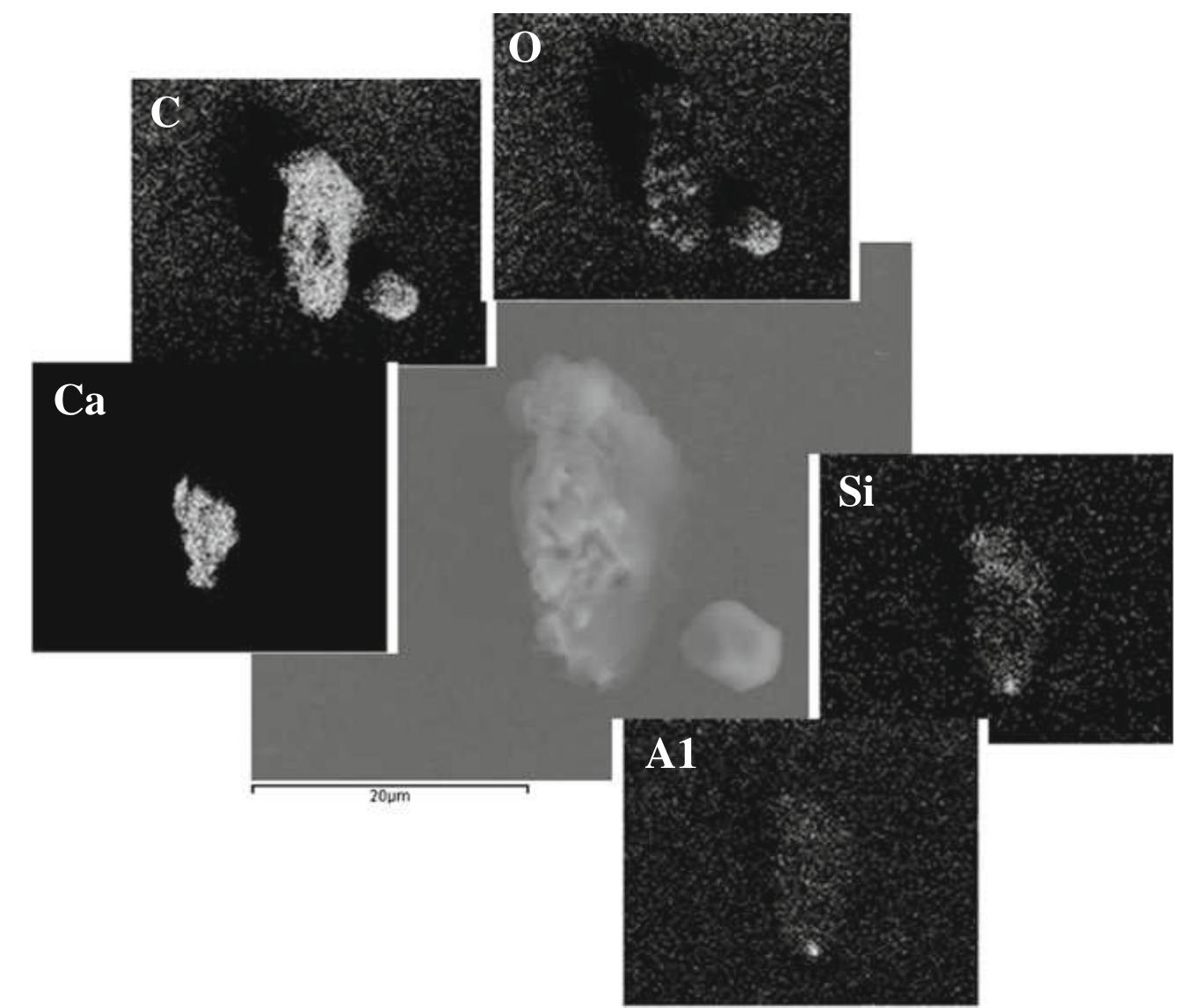 (PDF) Metal binding properties of extracellular polymeric substances ...