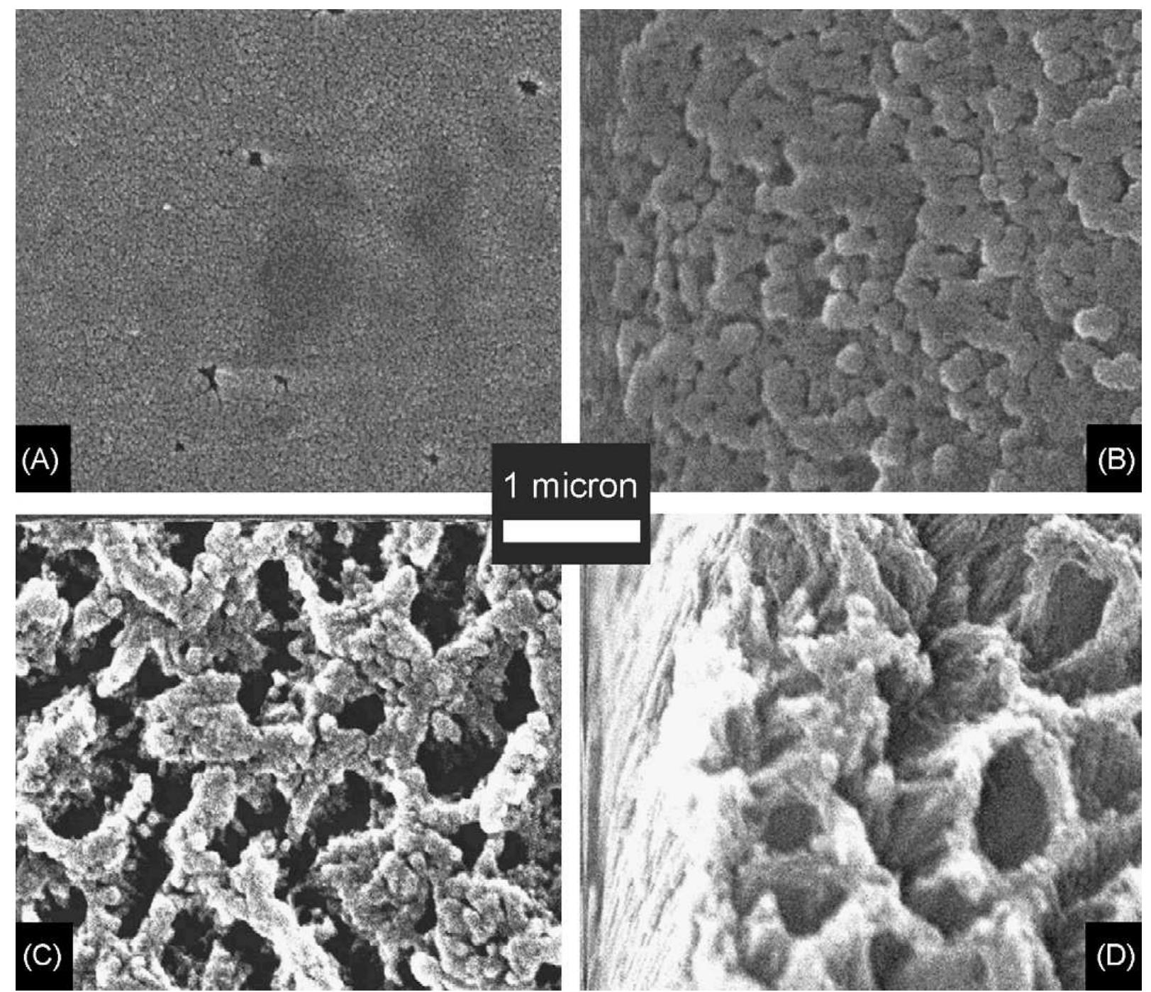 Figure 2 - from Reflection-based sensor for gaseous ammonia