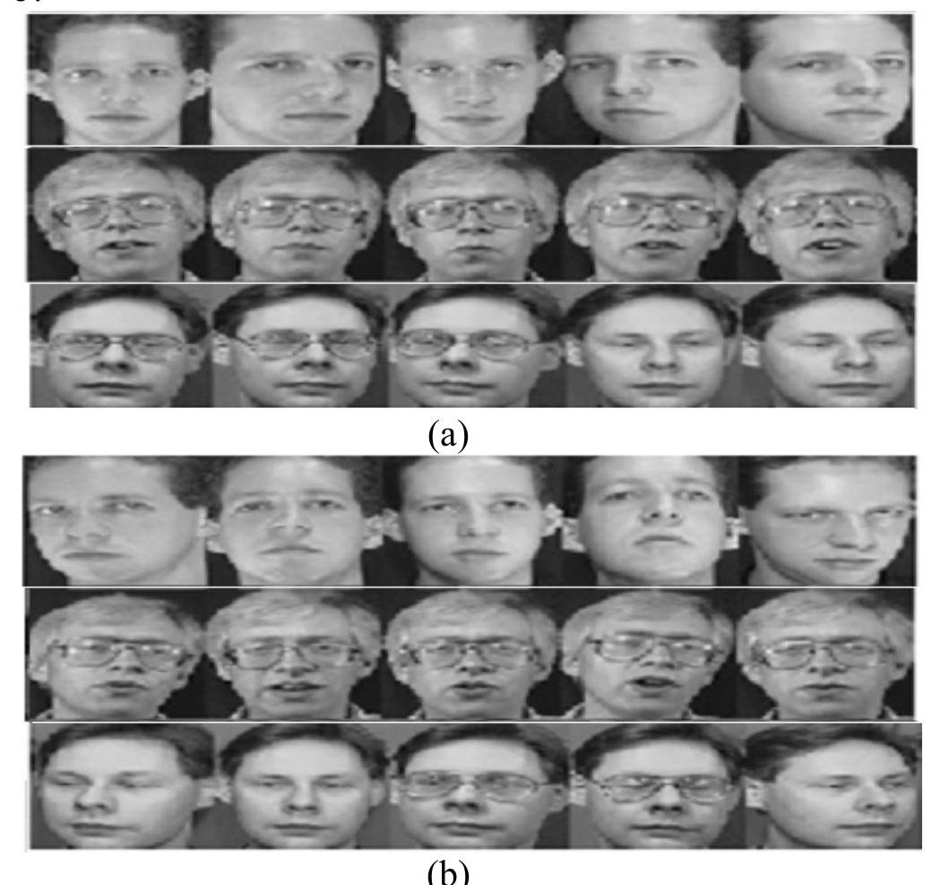 (PDF) Comparative Study of PCA, ICA, LDA using SVM Classifier
