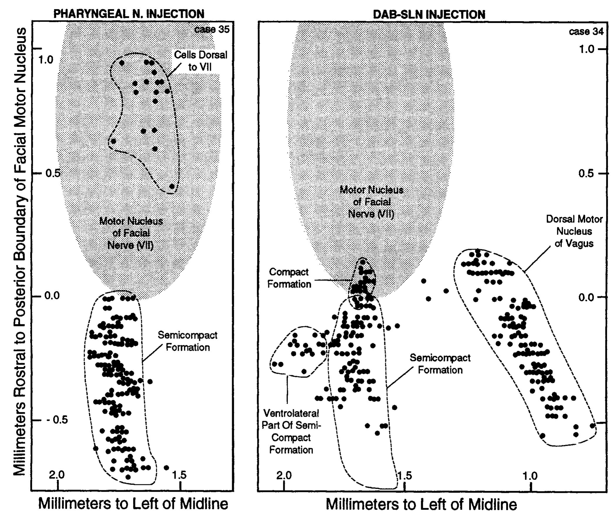 Scf Injection (PDF) Innervation of the larynx, pharynx, and upper esophageal ...