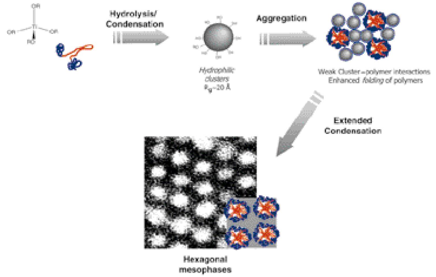 Formation of hybrid hexagonal phases in high water content