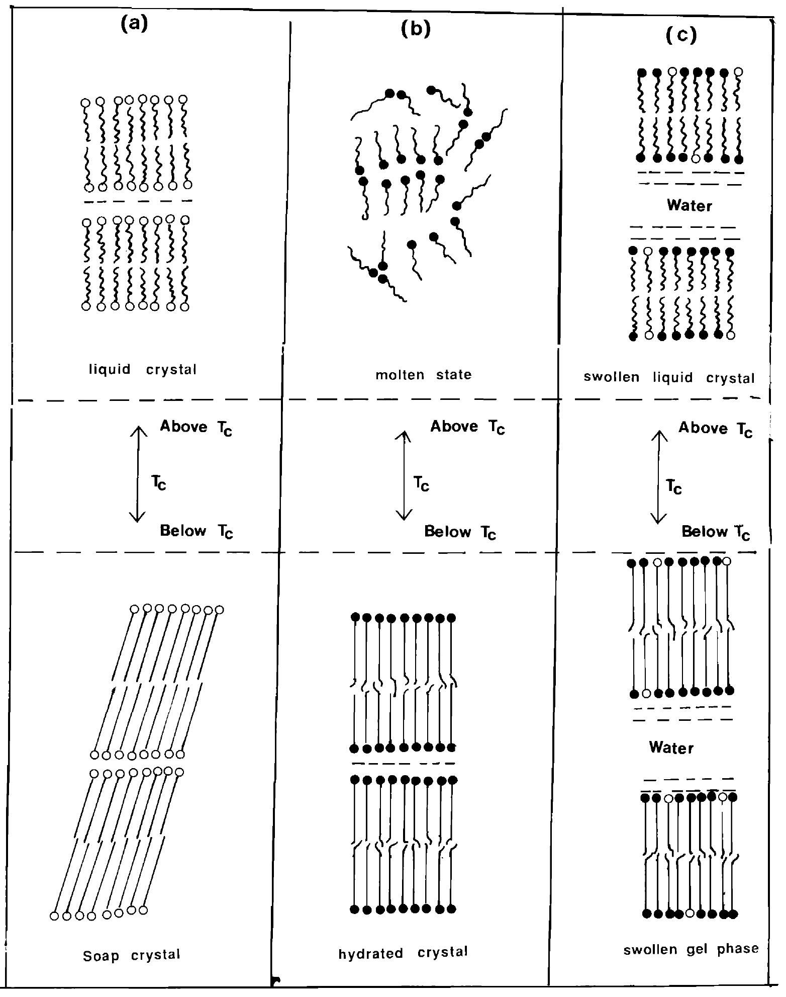 Summary of the aqueous phases that form below and above the