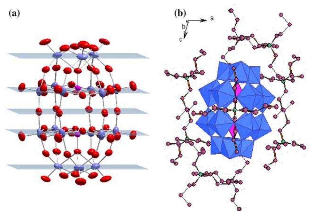 Powder x-ray pattern of tba;[hp2mo;,0¢2] (top) and