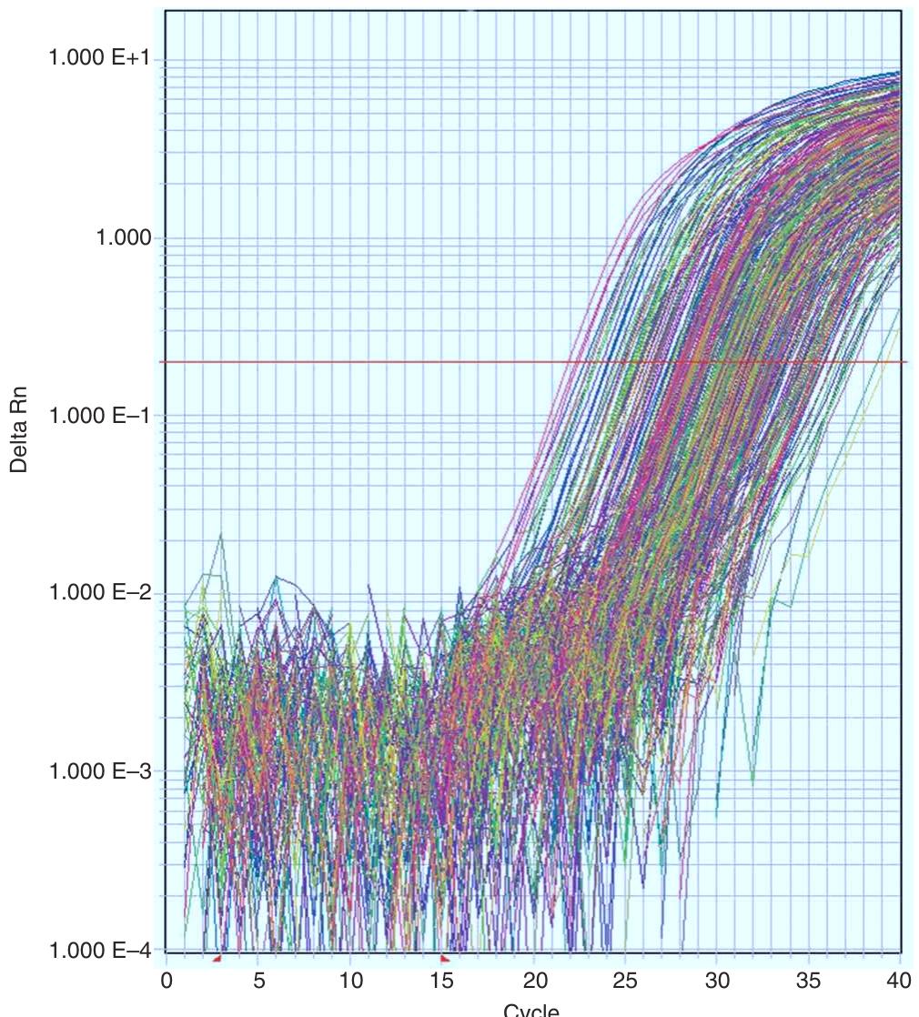 Expression Real Time Pcr Graph (PDF) Analyzing real-time PCR data by the comparative C(T) method