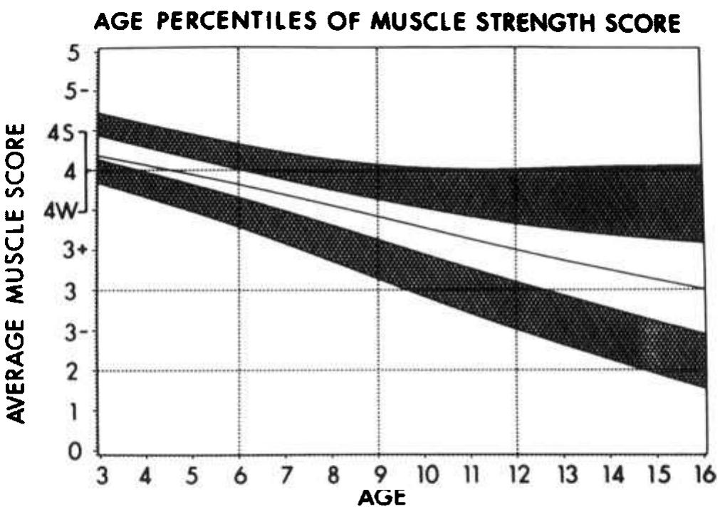 Strength Testing Numbers (PDF) Manual muscle testing