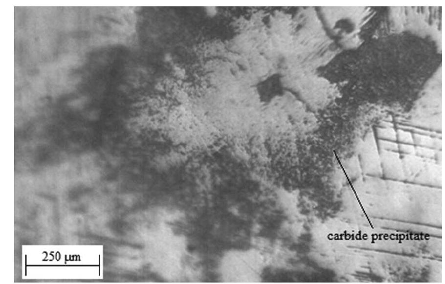 Optical micrograph of as-cast sample. the microstructure