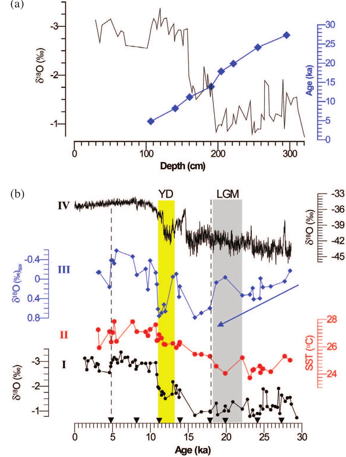 (a) age (ka; kyr bp) versus core depth plot with the 6'°o