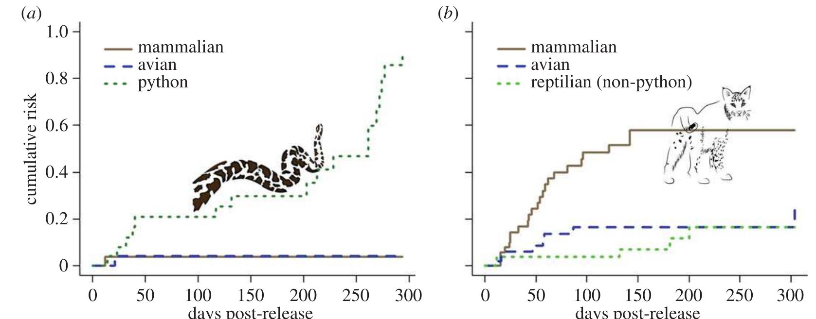 (PDF) Marsh rabbit mortalities tie pythons to the precipitous decline ...