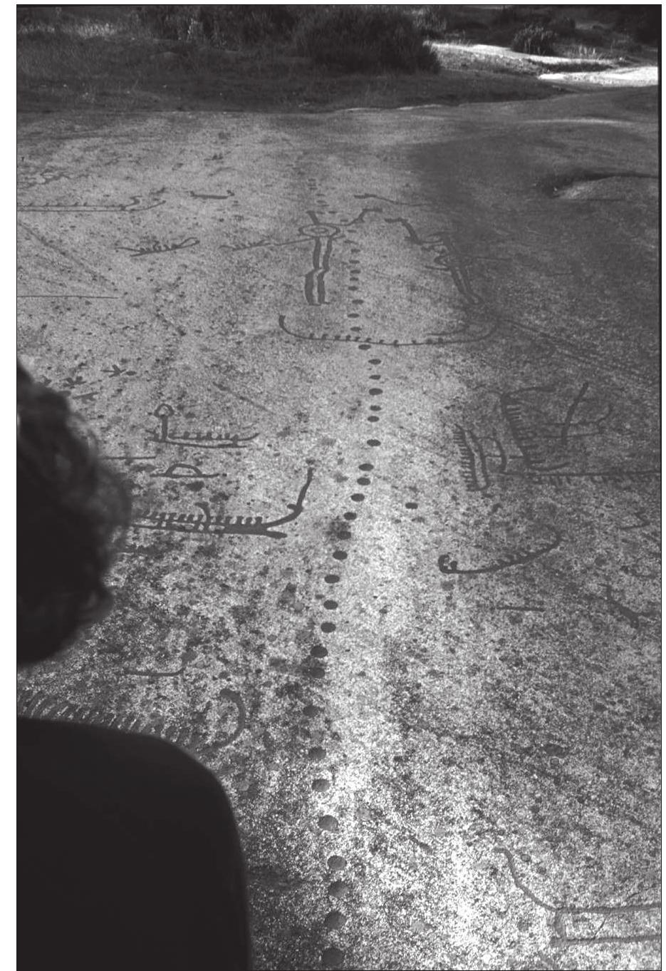 Figure 6. Vitlycke, Tanum, Bohuslan, Sweden, part of large rock face with many diverse motifs. Photograph by the author. 