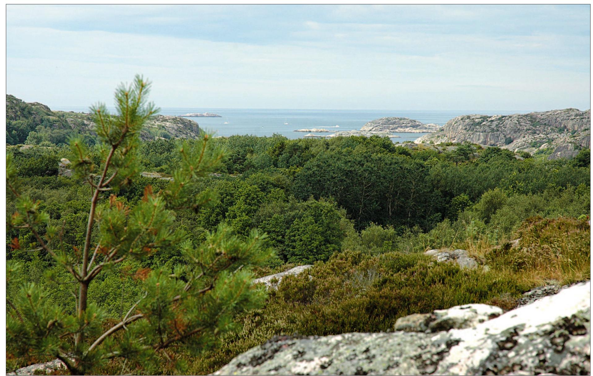 Figure 17. View over the Skagerrak from the fortification at Edsvik in Tanum parish, prov. of Bohusldn on the Swedish West Coast. The fort is located on a hill which constitutes a small stretch of land (Sw. ‘Ed’) between the open sea and a lake. Photo by Sune Lundin. 
