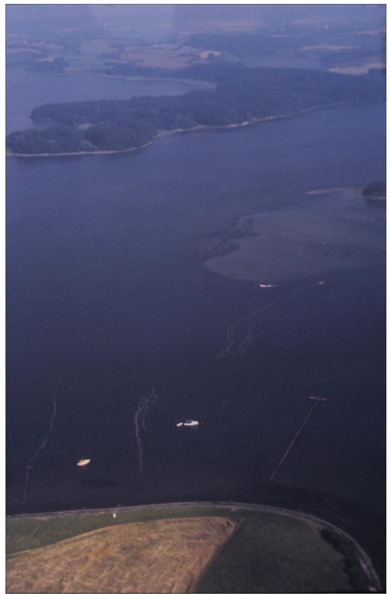 ings from AD 1310-1385 (AD 1295-1405) (K-3737), AD 1435 (AD 1410-1460) (K-3736), and finally a very late dating to AD 1685-1955 (K-3735), which belongs to recent times. Guds@ Vig I is thus associated at least with the Post-Viking Middle Ages, and perhaps with an older phase in the Late Viking Age. 