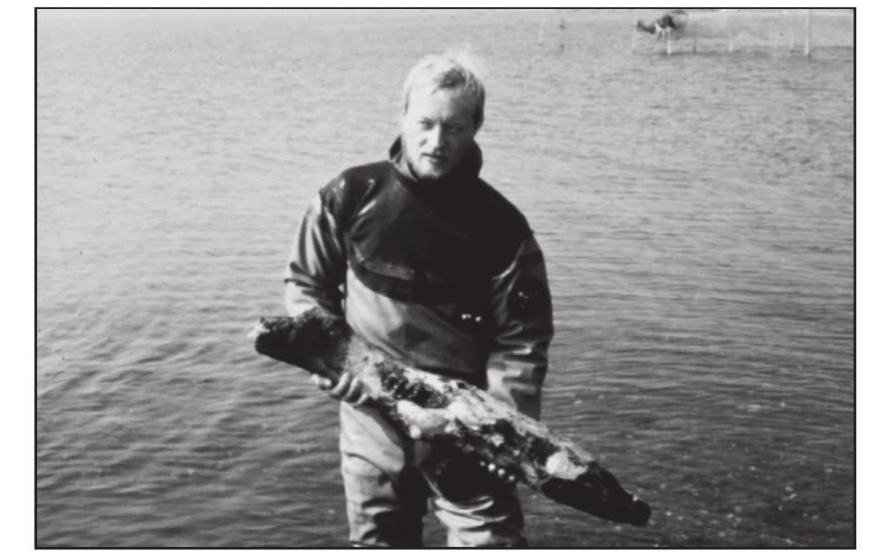 Figure 34c. The diver Torben Malm with one of the wood and dating specimens. Photo: Flemming Rieck. 