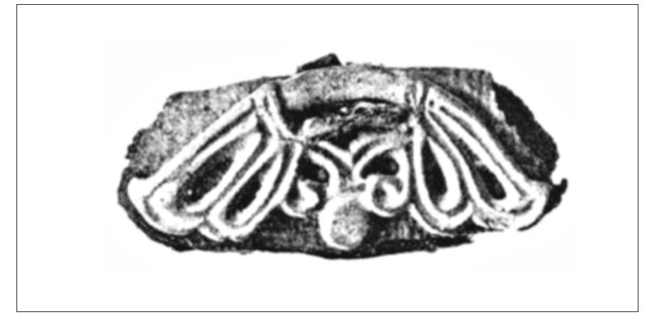 An object of bone from the Black Earth (Birka’s town area) has been identified by Kirill Mikhailov as part of an archer’s bow of Hunno-Bulgarian type (fol- lowing Savin-Samenov’s classification) (Mikhailov, pers. comm. 2006). The bone object is c. 15 cm long and c. 1 cm wide, and has convexly trimmed ends which are sharply pointed. A criss-cross pattern and several lines are incised on one face. The object resembles some composite bow mounts that occur, for example, among material of the Avars and Romans. The mount was most probably a handhold-mount that sat on the body or back of a composite bow where the archer placed his palm (cf. Coulston 1985: 228f, 329, 336, Nagy 1998: 101). Such ‘Hunno-Bulgarian’ bows, to which group the Avarian ones belong, were successively replaced in the Steppes in the 10th century by other models. However, acccording to John Haldon, the Byzantine army for one continued to use the Hunno-type of composite bow that they had adopted in the 5th/6th centuries (Haldon 1999:132).   Figure 49. Bow case loop from burial Bj 1125b (Arbman 1940, Table 136). Scale 1:1. 