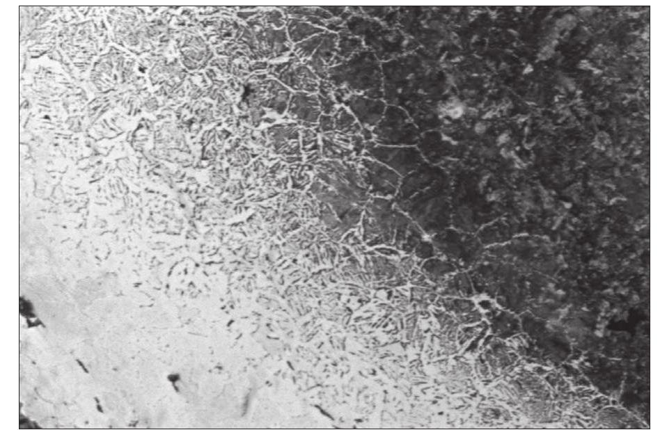 Figure 63b. Cross-section 1.47 2.20.  Figure 63c. Cross-section 1.47 2.20. Photos: Lena Gran- din, GAL. 