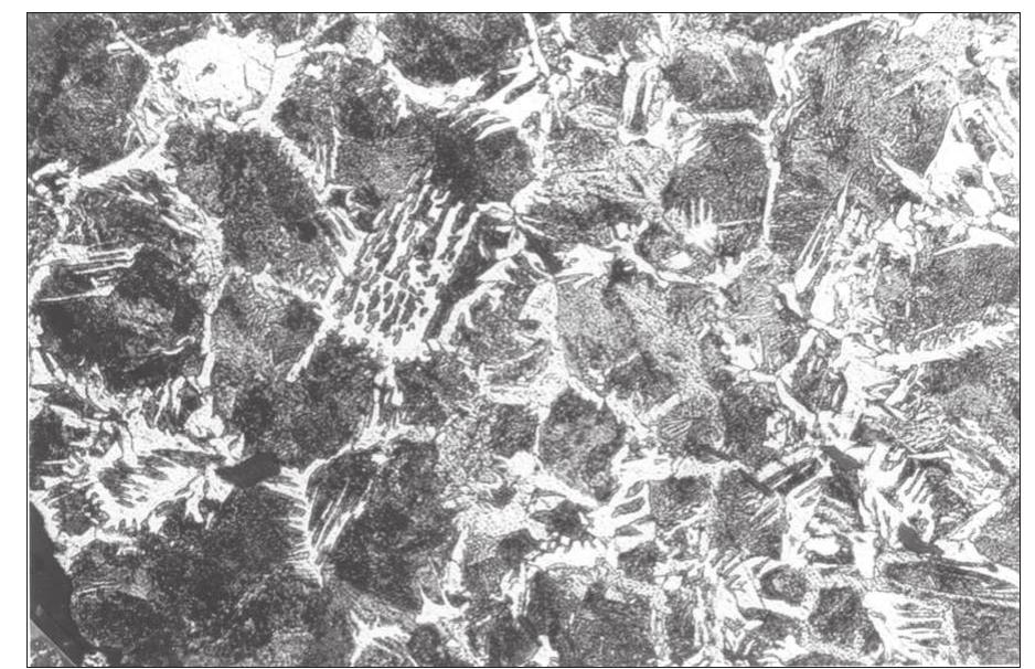 Figure 64a. Ring-shapen bar from Aselby, Stora Tuna par- ish in Dalarna. Scale 1:2.  Figure 64b. Polished cross-section showing perlite and grain boundary ferrite about 0.7% carbon, i.e. carbon steel. Etched with 2% nital; reflected light, magnification 16. Photo: the author, GAL. 