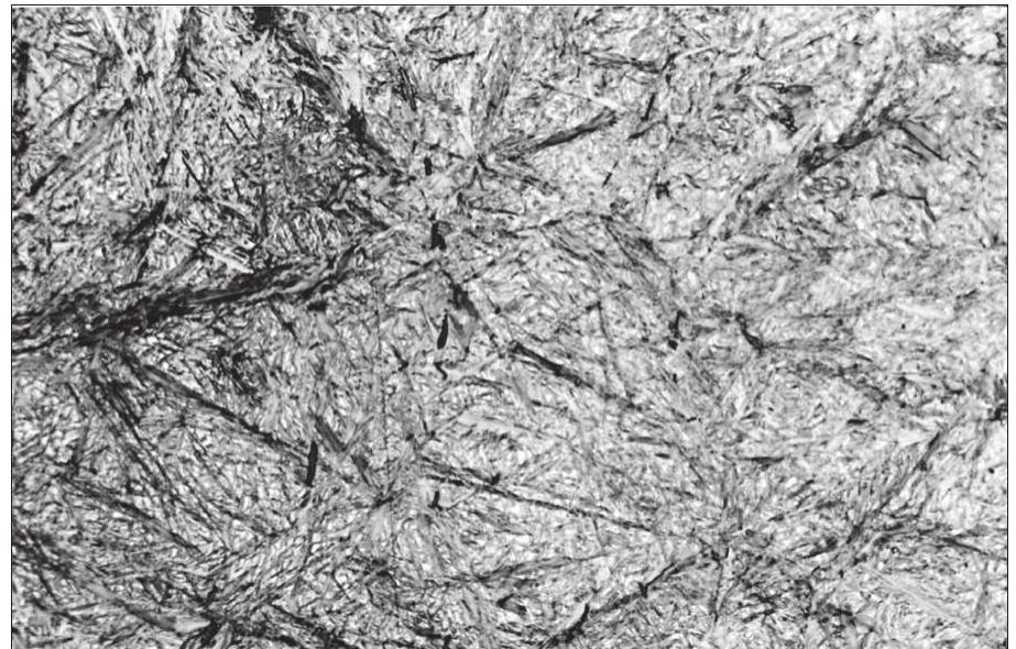 Figure 65b. Polished cross-section showing annealed mar- tensite. Etched with 2% nital; reflected light. Photo: the author. 