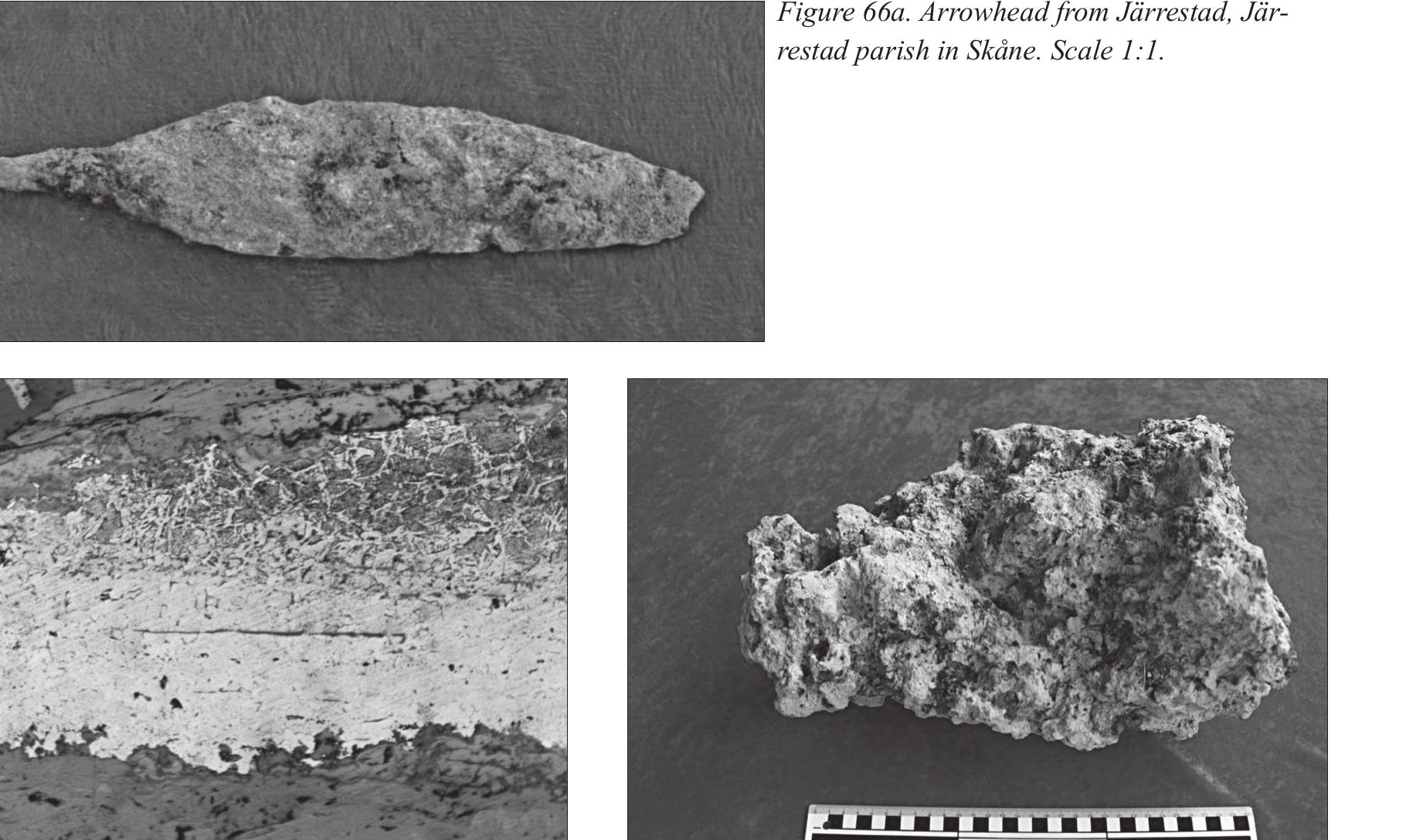 Figure 67a.Bloom, froom Kraksndset, Torsakers parish in Gastrikland. 