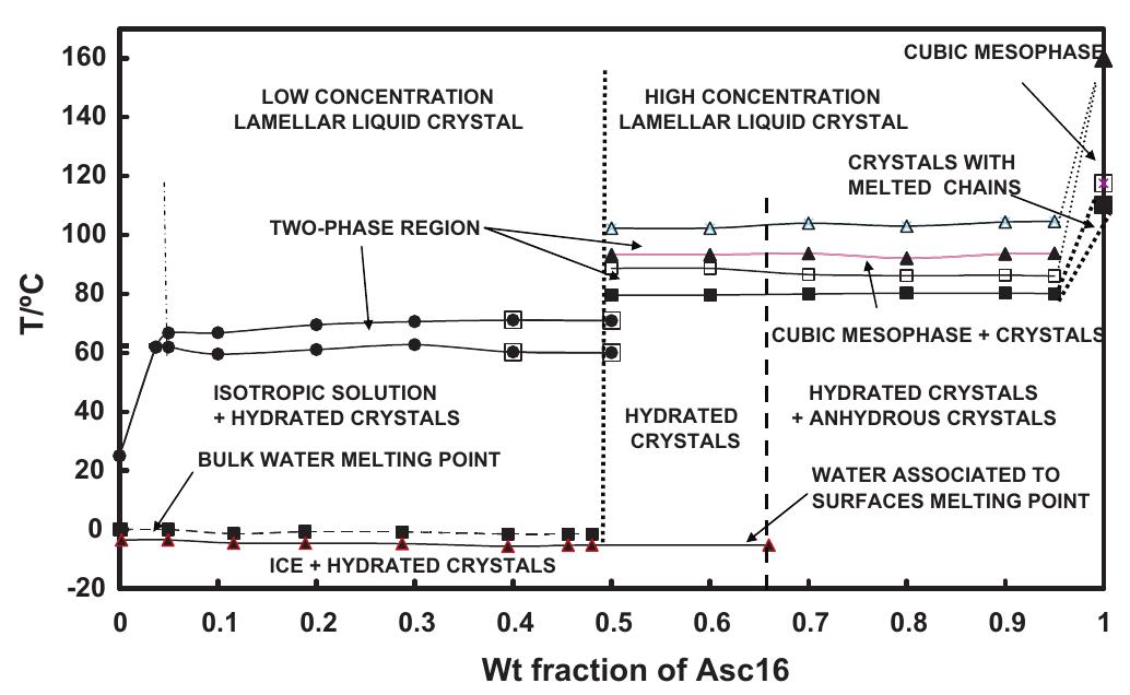 The phase diagram of the asc16-water system. i: isotropic