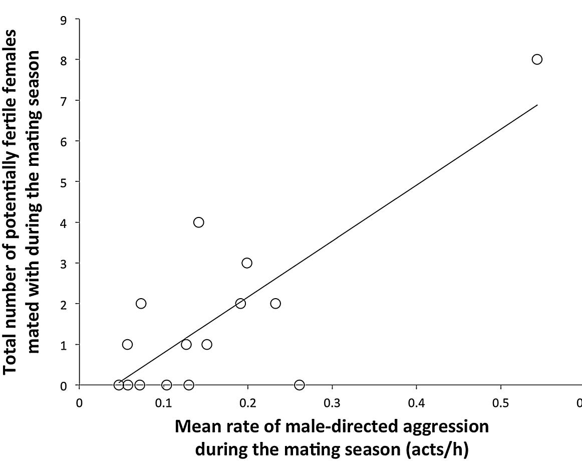 n Group R, as well as 4 additional infants with 4 different females in 2 ther groups. His reproductive performance in Group R peaked during the mating season that ended just before he became alpha (2009), when he was ‘esponsible for 18.3% of all established paternities in his group. In his last mating season as the alpha of Group R (2012), his reproductive share fell 0 8.6%, the lowest of his reproductive career up to that point (but note that ecause of the larger number of breeding females in Group R, than in S, this  lower proportion translates to a higher absolute number of infants sired in 2012 in Group R than in 2013 in Group S, Table 2). 