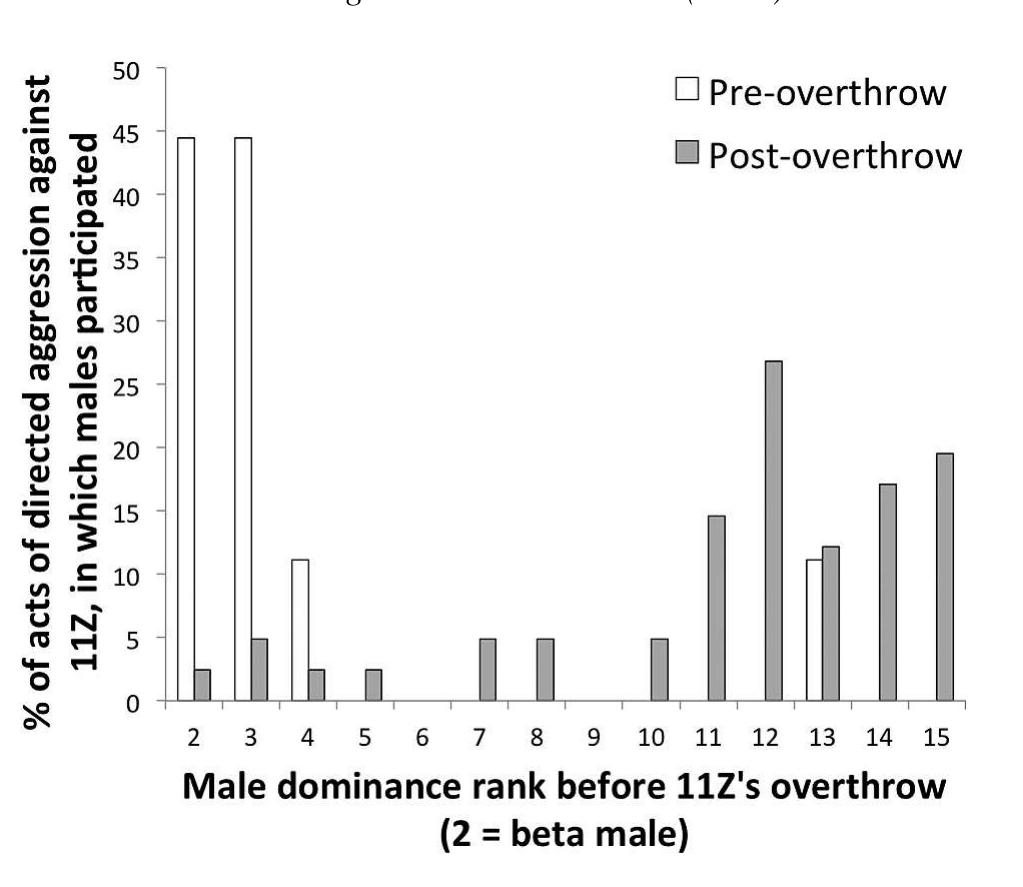 Figure 5. Relative participation by males in directed aggression (directed threats, charges, chases and contact aggression) against male 11Z (% from total events) before and after his  overthrow from the alpha position. The figure shows ordinal ranks. A higher-ranking male has a higher Elo-rating (not shown) but a lower ordinal rank. 